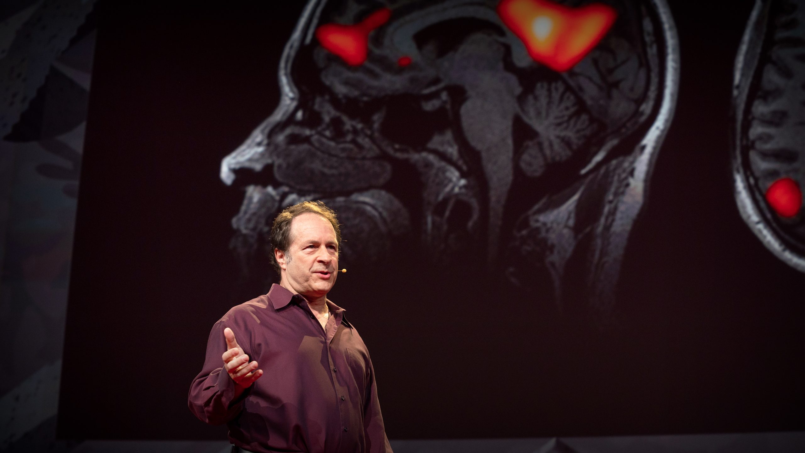 E8 – Rick Doblin on The Frontiers of Culture and The Future Of The Psychedelic Renaissance